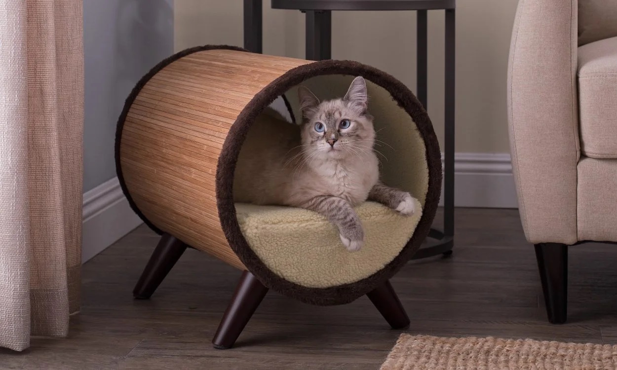 Cat Bed Buying Guide: What to Look for Luxury Cat Beds