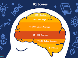 Online IQ Tests The things you Need To Know