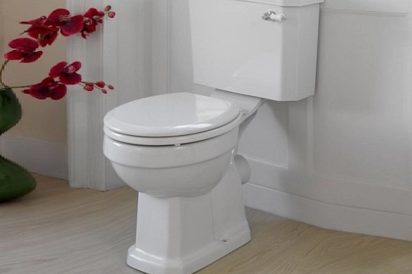 The Importance Of Having A Toilet That Accommodates The WC PMR