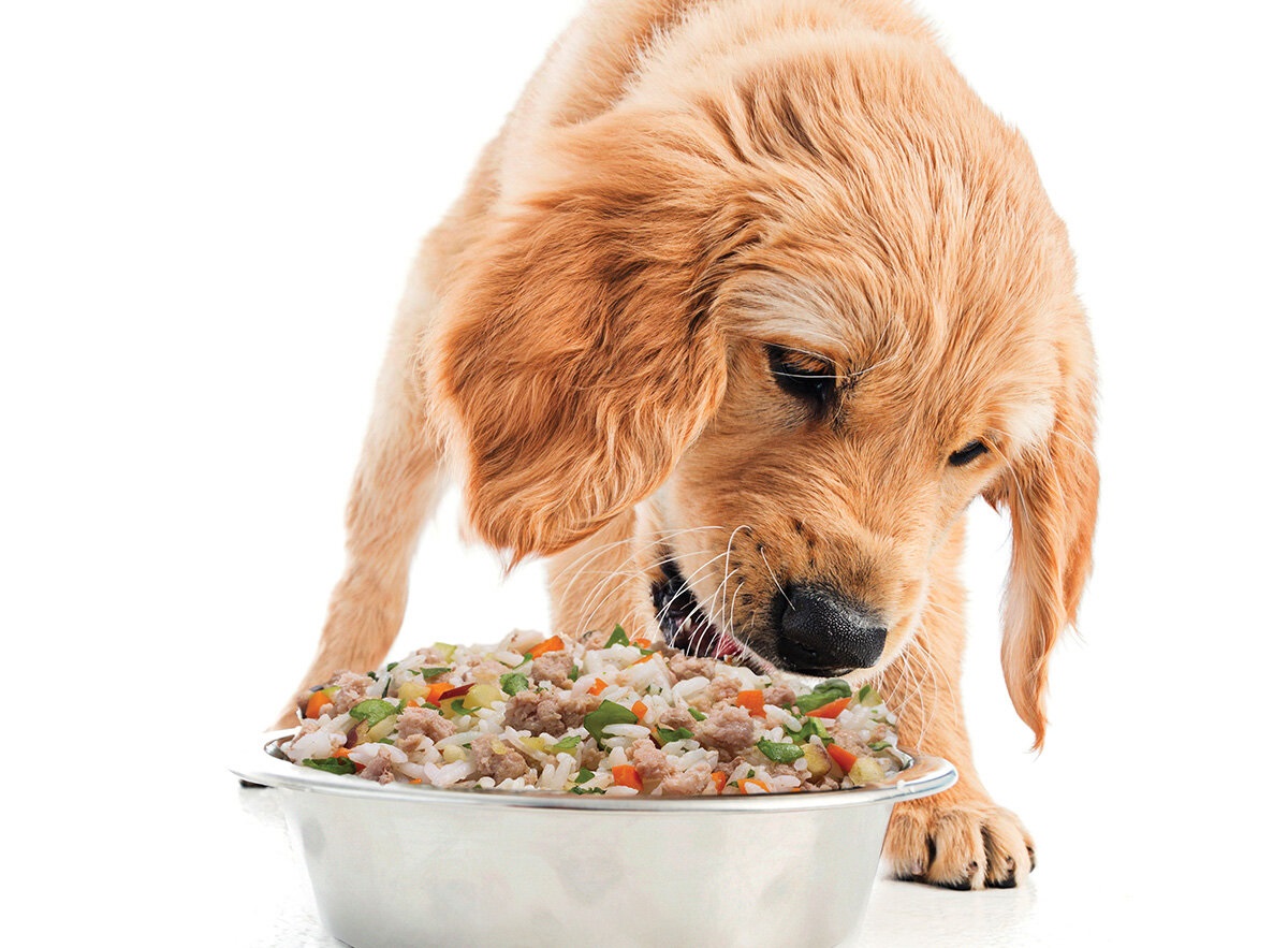 What it Means to Buy Pet Food Containing “Human Grade” Ingredients